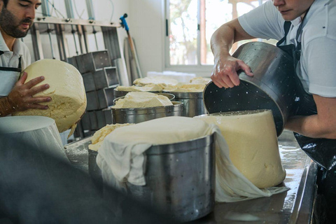 Cheese Route: Visit to Granja La Cumbre and Artisanal Food Tasting Cheese Route: Visit to La Cumbre Farm and Artisanal Food Tasting