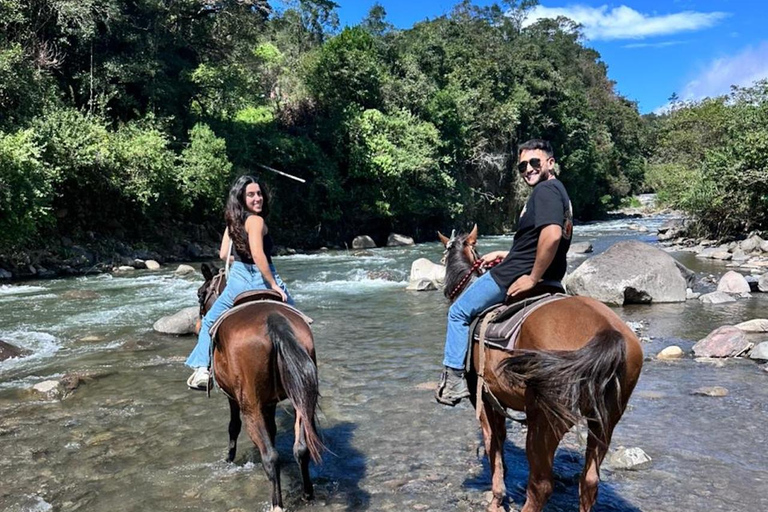 Horseback Ride + Contact Farm in Boquete 2 hours
