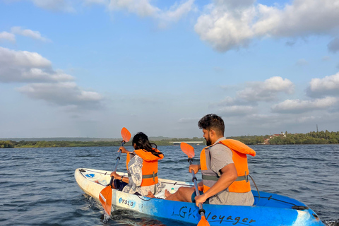 Kajakpaddling i Backwater