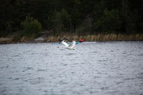 Stockholm: All-Inclusive Self Guided Multi-day Kayak Tour Stockholm: All-Inclusive Self Guided 2-day Single Kayak Tour