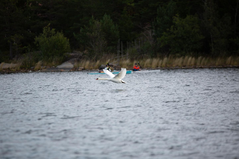 Stockholm: All-Inclusive Self Guided Multi-day Kayak Tour Stockholm: All-Inclusive Self Guided 2-day Single Kayak Tour