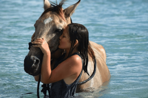 Punta Cana: Swim & Ride Horse on Caribbean Beach & Transport