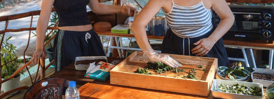 Ella : expérience pratique de préparation du thé avec dégustation