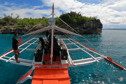 Moalboal : Scuba Diving Sardine Run and Turtle Chasing Scuba Diving: Sardine Run, Turtle Chasing &Pescador Island