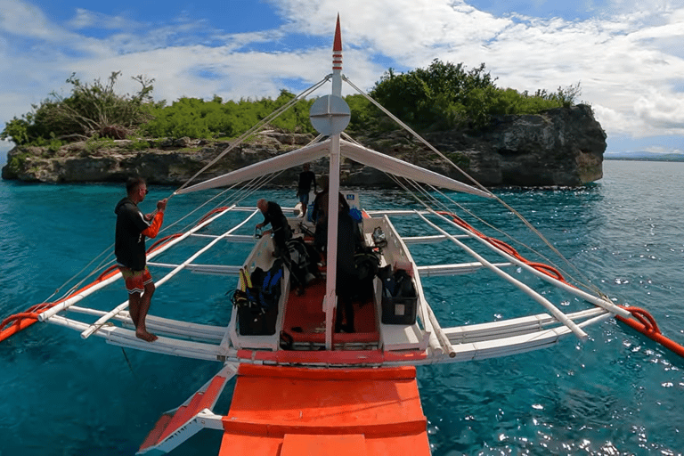 Moalboal : Scuba Diving Sardine Run and Turtle Chasing Scuba Diving: Sardine Run, Turtle Chasing &Pescador Island