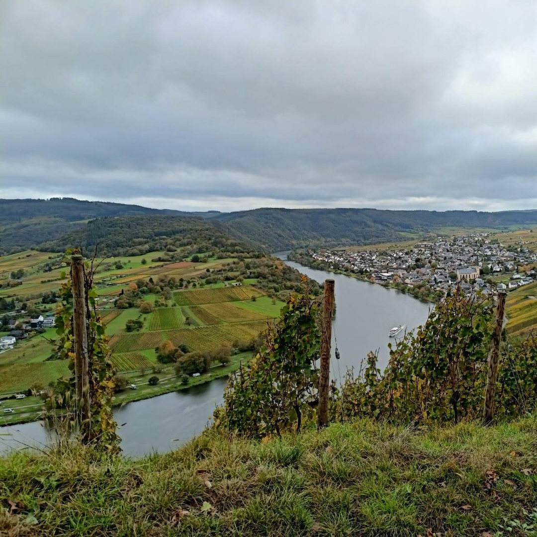 Colagem de mídia