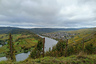 Kröv, Mosel: PLANWAGENFAHRT through the vineyards with wine tasting