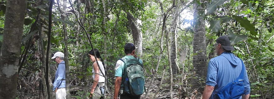 Bali occidental : randonnée dans la jungle du parc national