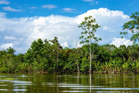 Explore Iquitos: 3 Days of Adventure on the Yanayacu River