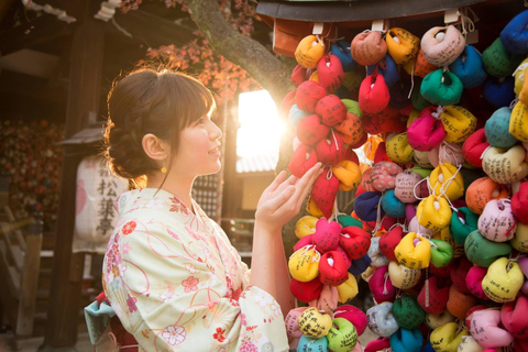 Kyoto : visite privée pour toute la famille avec chauffeur-guide