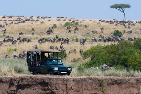 Overnight Masai Mara National Park From Nairobi