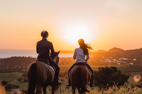 Ibiza: Private Horseback Riding Adventure for All Levels