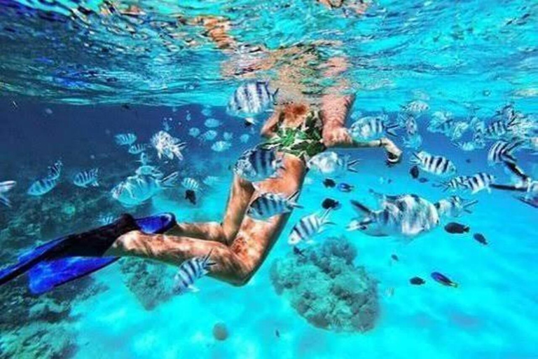 Zanzibar: Mnemba Snorkeling & Sea Turtle Swim Private Tour without hotel transfer