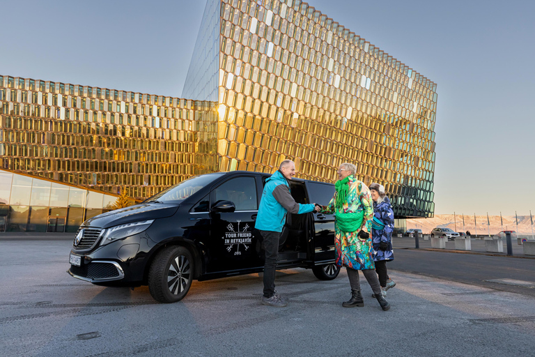 Côte sud de l&#039;Islande - Excursion à terreGroupe de 1 à 8 passagers