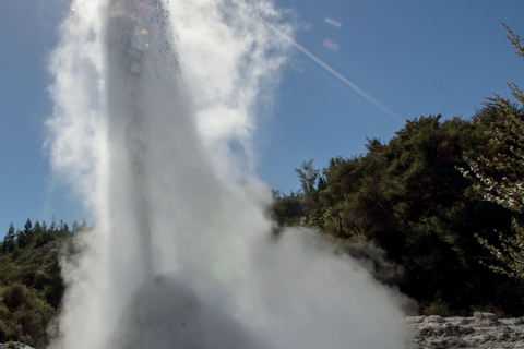 Da Auckland: Tour di un giorno a Wai-O-Tapu e alle terme polinesiane di Rotorua