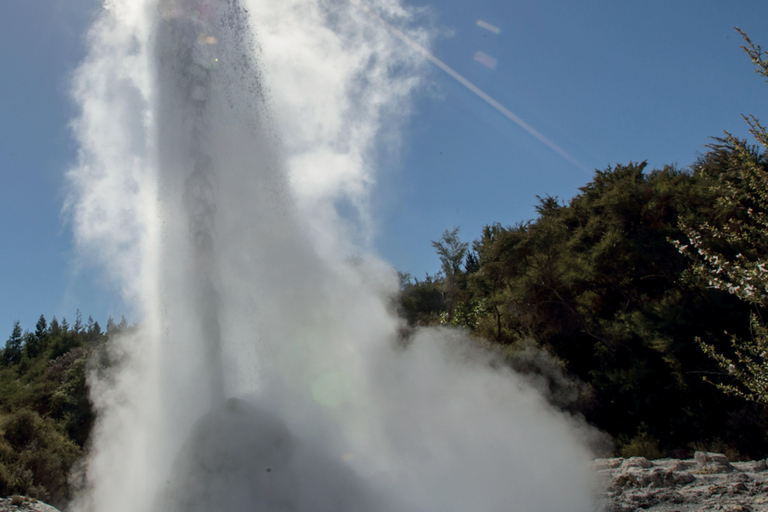 Z Auckland: Jednodniowa wycieczka do Wai-O-Tapu i polinezyjskiego spa Rotorua