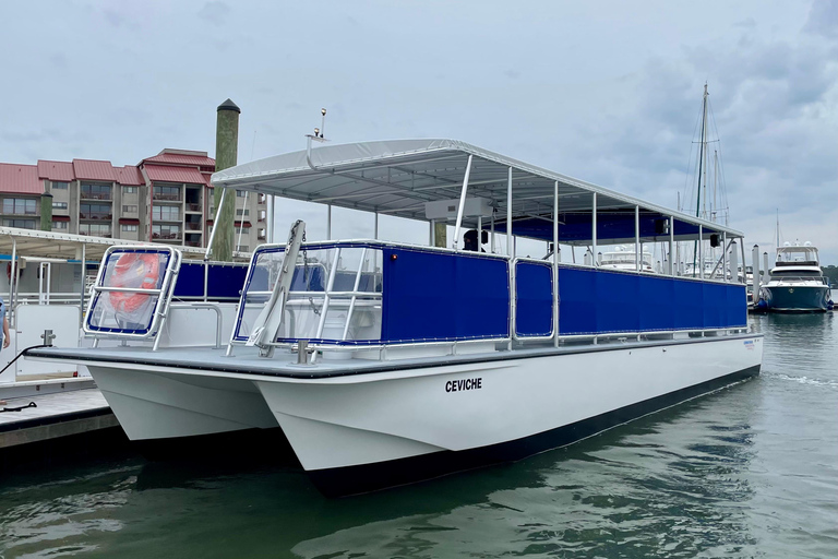 جزيرة هيلتون هيد آيلاند جولة نهاراً على متن قارب لمشاهدة الدلافينجزيرة هيلتون هيد: جولة بالقارب لم