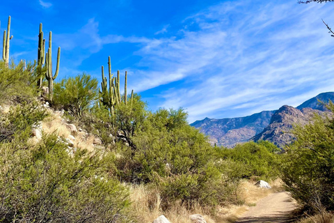 Tuscon: Rancho Cerros Horseback Riding Tout with Great Views