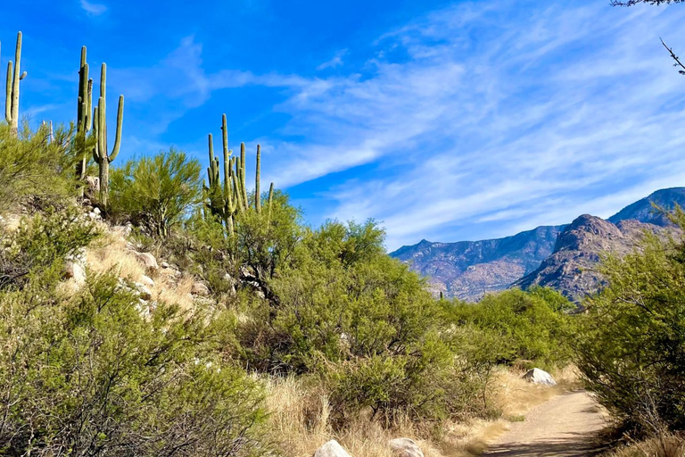 Tuscon: Rancho Cerros Horseback Riding Tout with Great Views