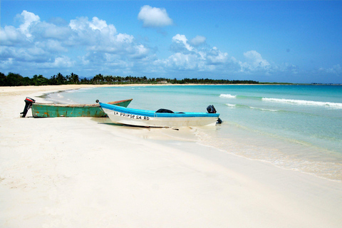 Punta Cana: Isla Saona Día Completo Almuerzo con Barra Libre y Viaje de Ida y Vuelta