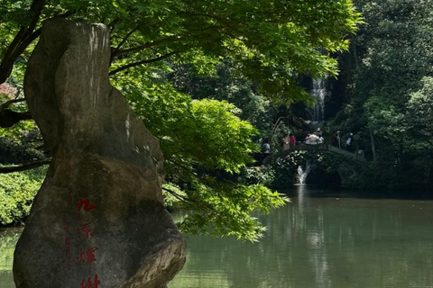 Hangzhou: Hike from Longjing Tea Village to Nine Creeks Group Tour