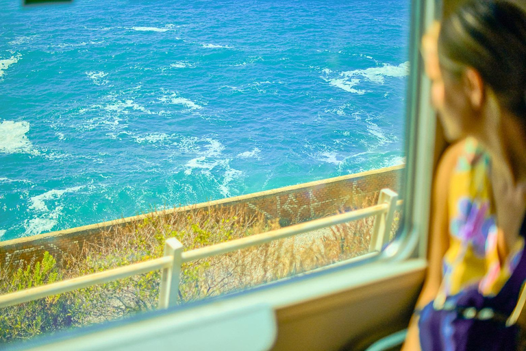 Florence : Excursion d&#039;une journée aux Cinque Terre et à Pise