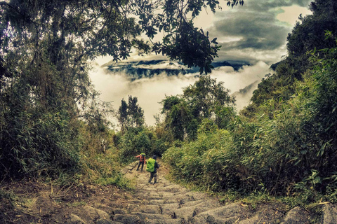 Cusco: 4-Day Inca Trail to Machu Picchu whit return in train