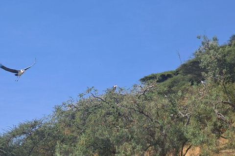 Addis Ababa: 6-Day Abijata Shalla NP & Bale Mountains Tour