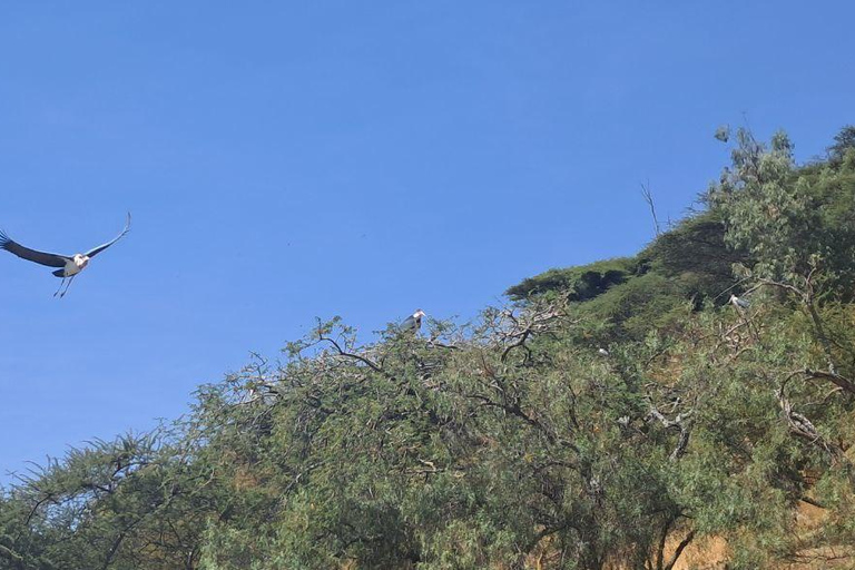 Addis Ababa: 6-Day Abijata Shalla NP & Bale Mountains Tour