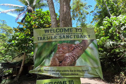 Visite privée des collines de chocolat de Bohol