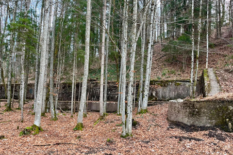 Guided WWII Eagles Nest, Obersalzberg and Berghof Tour