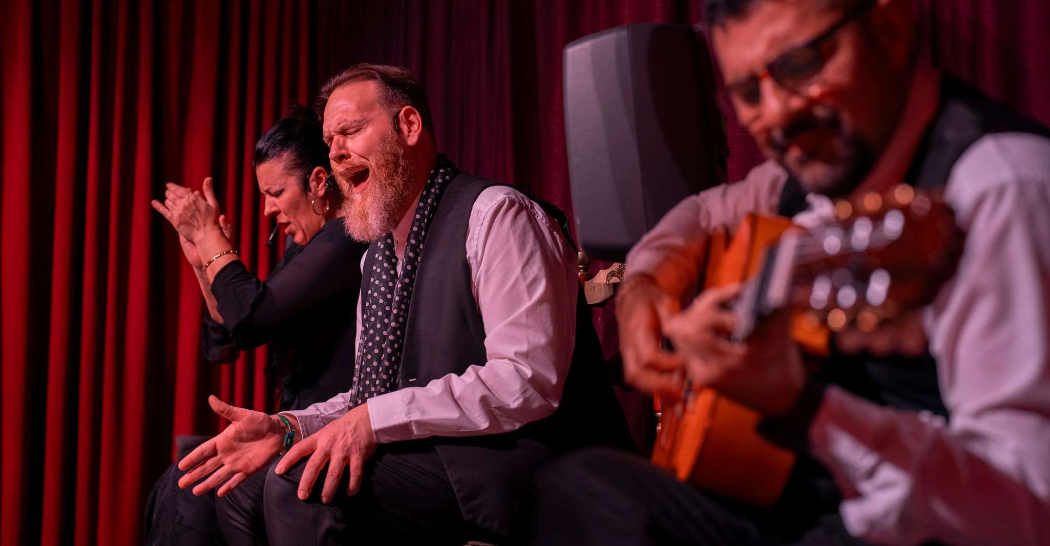 Barcelona: Flamenco Show at Palau Dalmases photo 13