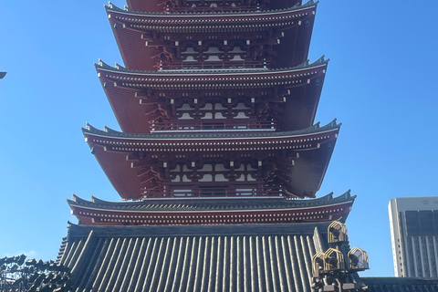 Tokyo Luxury Private City Tour Customizable with Guide