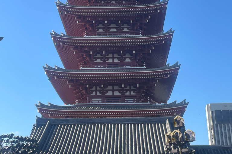 Tokyo Luxury Private City Tour Customizable with Guide