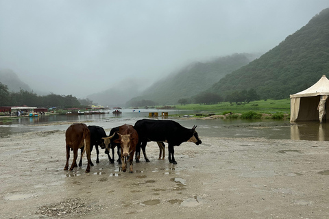 Ultimate Salalah - 5-in-1 Adventure in Salalah