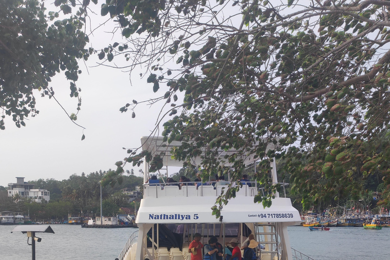 Mirissa: tour in barca con osservazione balene al tramonto e musica