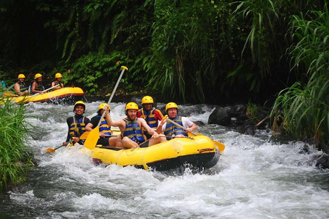 Bali: White Water Rafting and ATV Adventure with Lunch