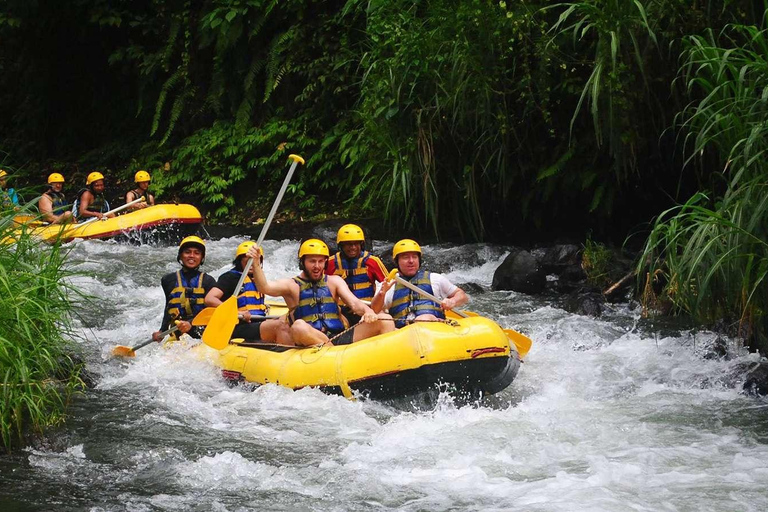 Bali: White Water Rafting and ATV Adventure with Lunch