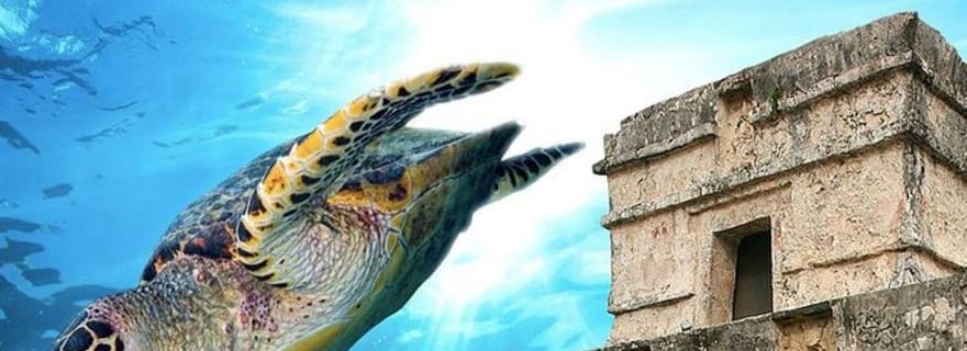 Cancun : Ruines de Tulum et plongée en apnée avec les tortues de mer