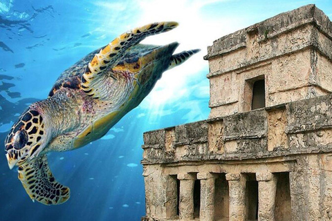 Cancun: Tulum Ruins &amp; Snorkling med havssköldpaddor Tour