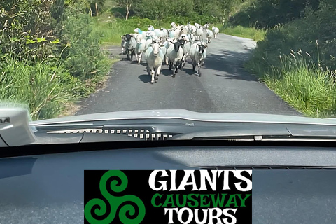 Belfast: VIP Private Giant's Causeway & Game of Thrones Tour
