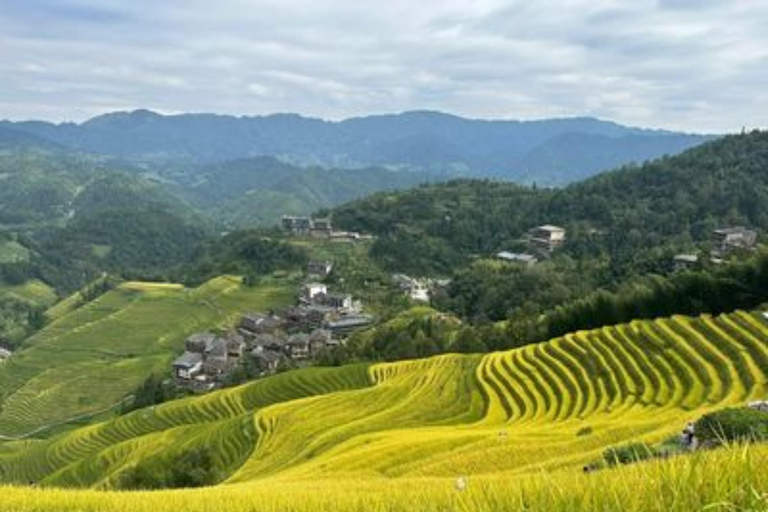 Guangxi: Longji Rice Terraces Cable Car Sightseeing Business Vehicle Small Group + Round-trip Ropeway