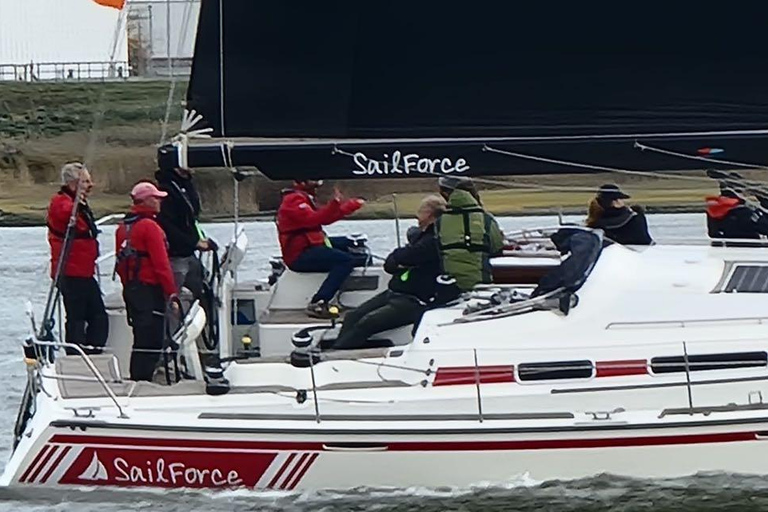 Wemeldinge: Oosterschelde Sailing Trip with Skipper - 3 hrs