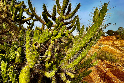 Cyprus: Nature & Lost Places – Mines, Lakes & Colours