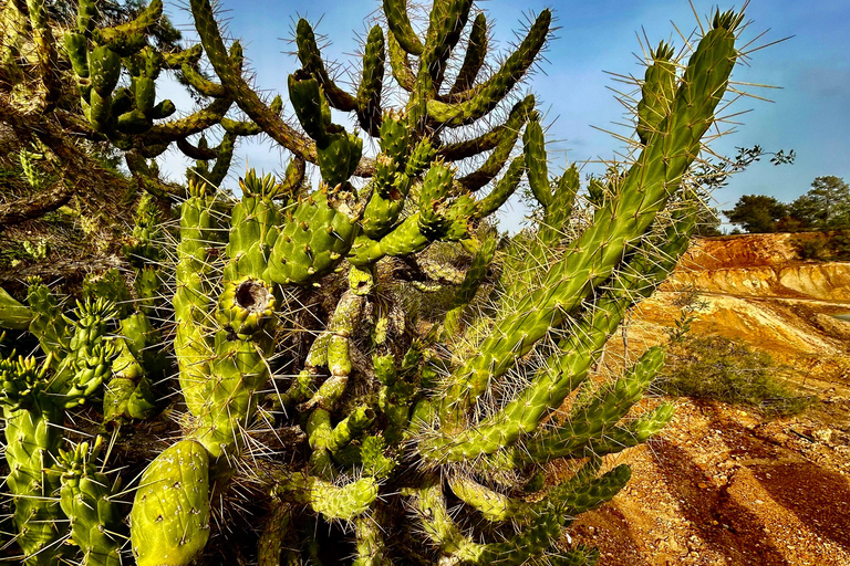 Cyprus: Nature & Lost Places – Mines, Lakes & Colours