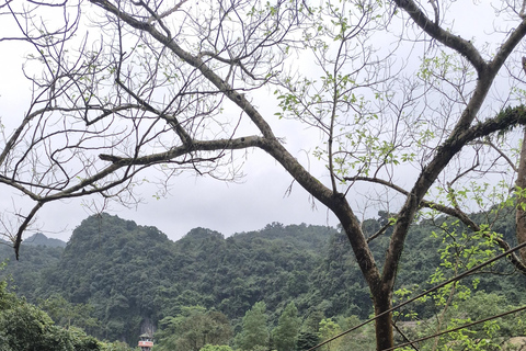 Phong Nha: Cave Exploration and Zipline Dark Cave Tour