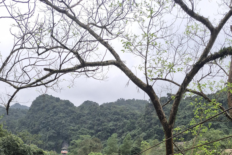 Phong Nha: Cave Exploration and Zipline Dark Cave Tour