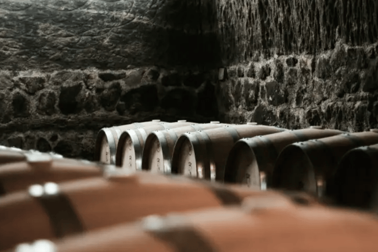 La Rioja: CM Matarromera Winery Tour