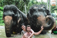 Koh Samui, Elefant Jungle Sanctuary Halbtägige Tour - Housity