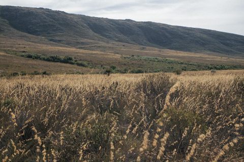 From São Paulo: 5-Day Serra da Canastra Wildlife Safari
